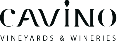 Cavino